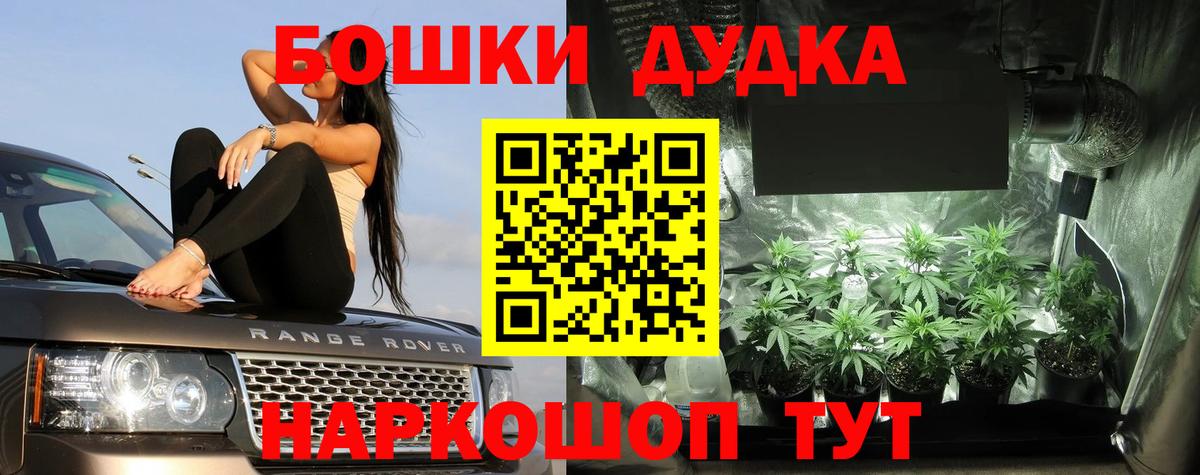 Марихуана Ganja  Бошки марихуана SATIVA & INDICA  Конопля сатива  Бердск  Вход с VPN 