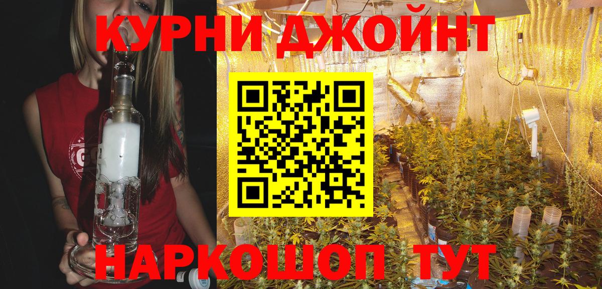 Конопля семена Бердск